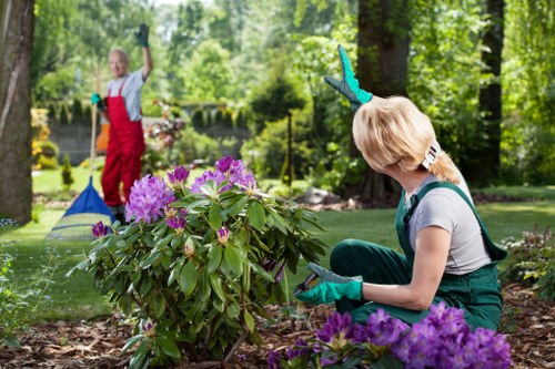 Professional lawn mower maintaining a green lawn in Osterley