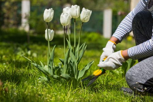 Professionals performing garden clearance in Osterley