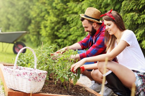 Lawn mowing equipment and tools used by professionals