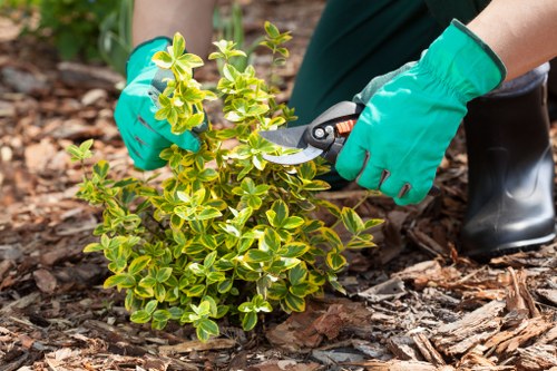 Eco-friendly gardening practices in action in Osterley garden