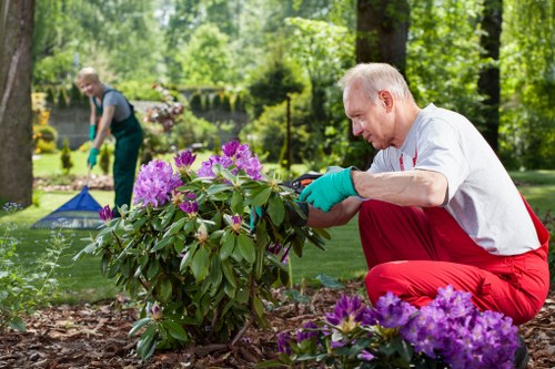 Soil preparation for garden maintenance in Osterley