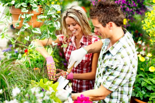 Eco-friendly lawn mowing practices in Osterley