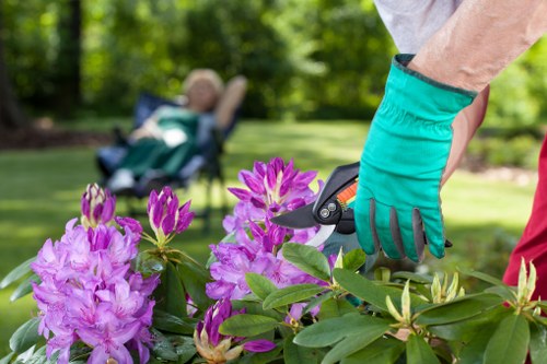Professional landscaper trimming hedge
