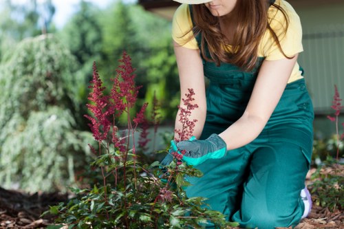 Close-up of hands pruning a shrub as part of garden maintenance in Osterley