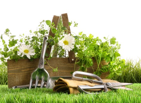 Lush garden design executed by Osterley gardening professionals