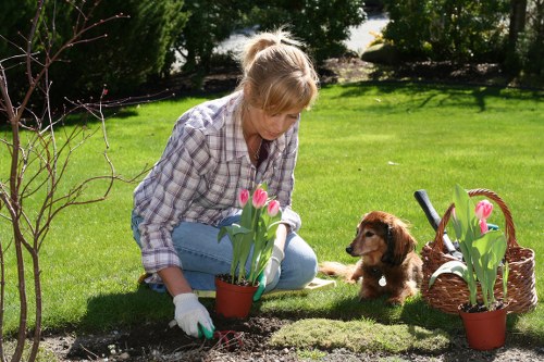 Small front garden tidy-up example with trimmed hedges