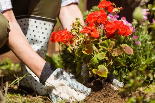 Selected plants for a healthy Osterley garden