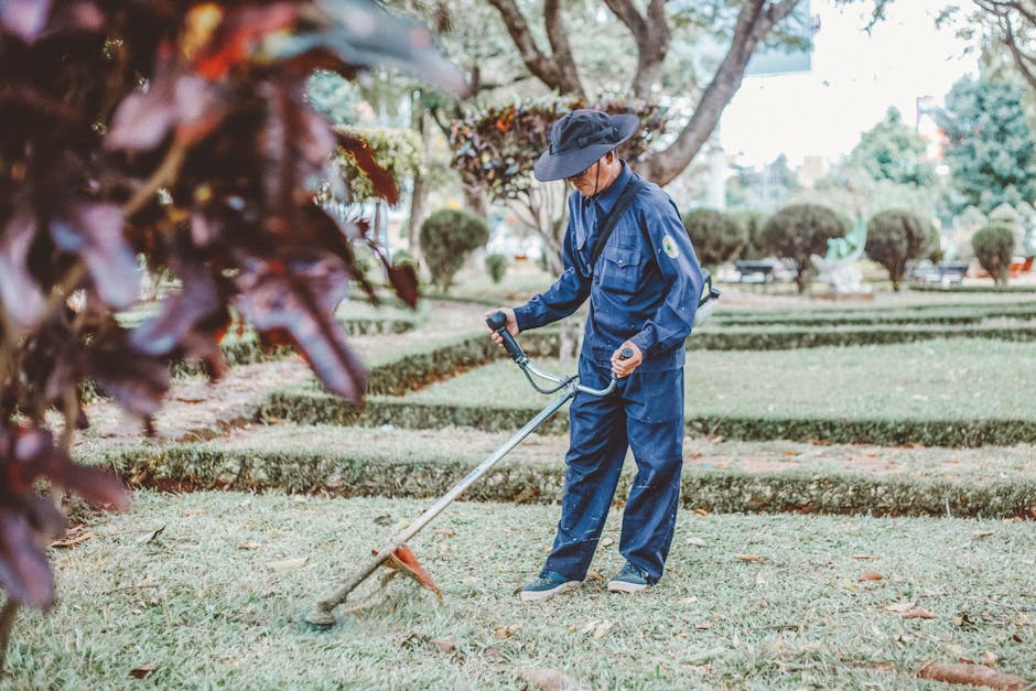 A gardener wearing a navy blue uniform, safety helmet, and protective goggles is seen trimming a neatly maintained hedge along a paved pathway in a lush, green park. Tall trees with broad, vibrant lea